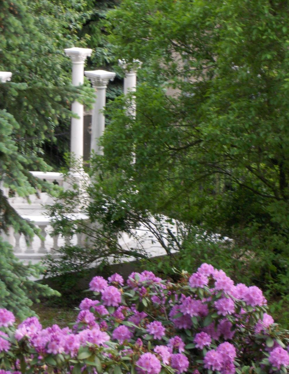 Romantic Chateau Krásná Lípa Eksteriør bilde